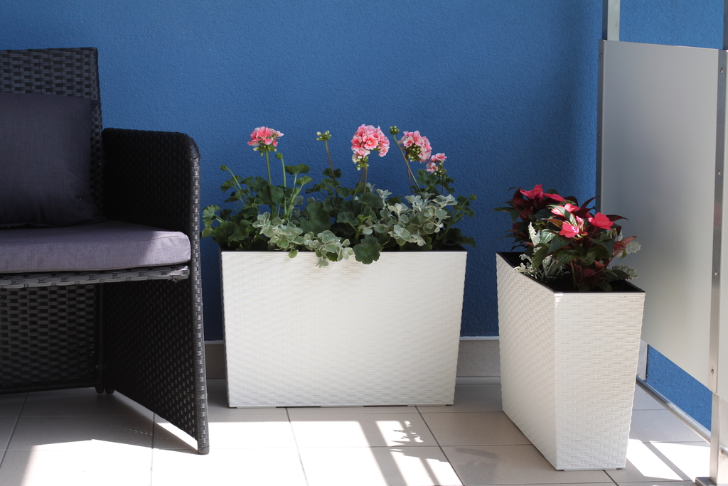 Truhlík VERBENA rattan - krémová - SLEVA 40%