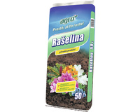 Rašelina