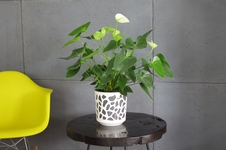 květináč DUET k/krém+v/zelený