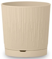 bamboo etrusca