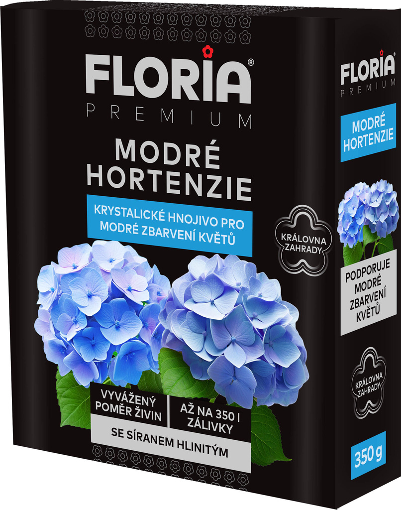 modre_hortenzie
