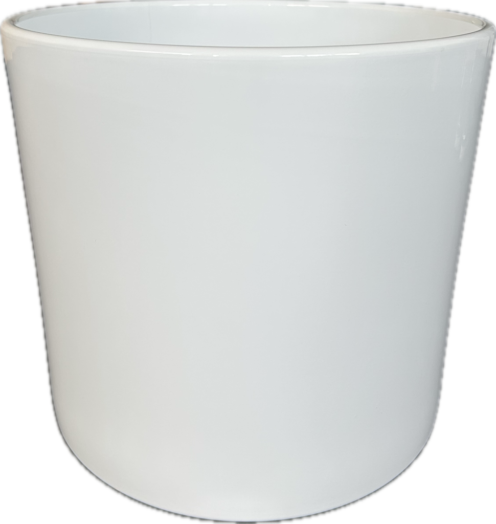 Obal_411_ bila_200162