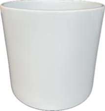 Obal_411_ bila_200162