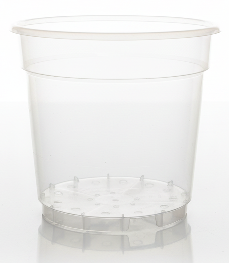 orchid_pesteb_transparent