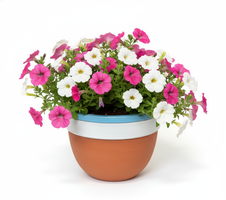 Garden modrý s kytkou