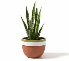 Garden zelený s kytkou