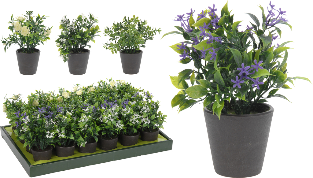 Květináč s pokojovou květinou 