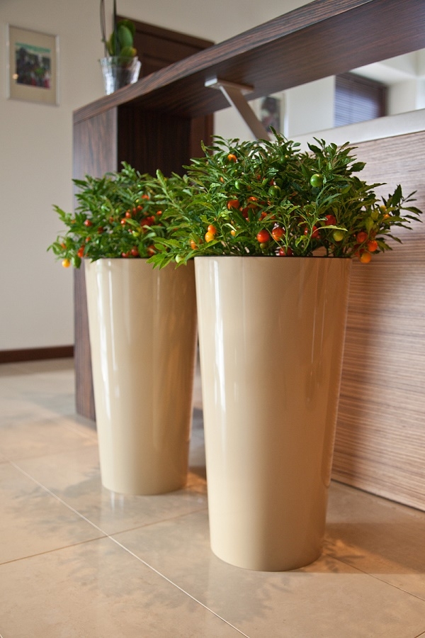 Obal LILIA  - capuccino