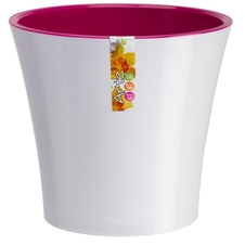 Samozavlažovací obal ARTE - bílá-fuchsia
